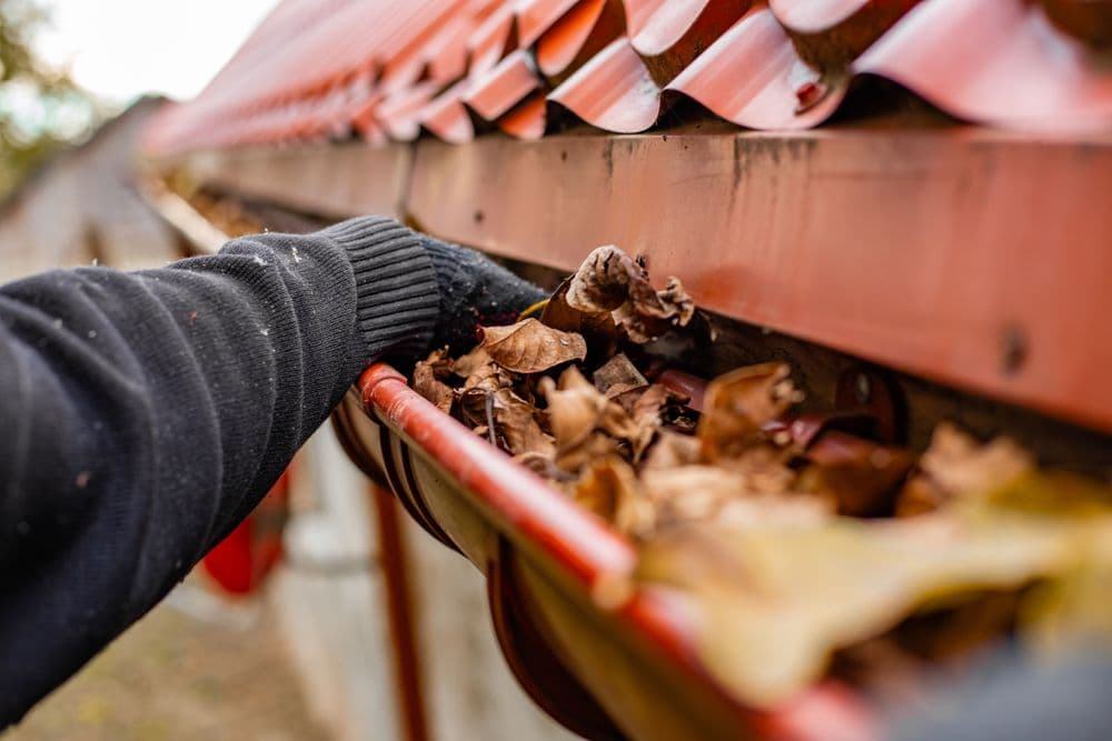 Gutter maintenance