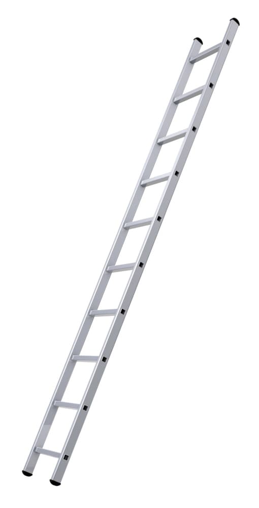 Single-section ladder